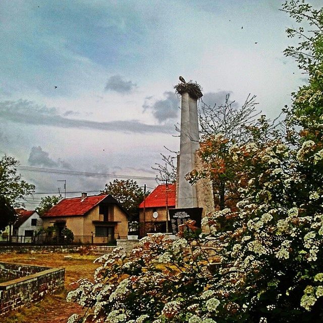 built structure, architecture, building exterior, sky, house, roof, residential structure, tree, residential building, cloud - sky, plant, day, nature, bird, no people, rural scene, outdoors, field, growth, cloud