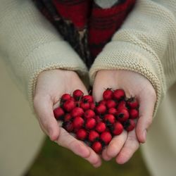 Close-up of hand holding strawberries