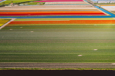 High angle view of agricultural field