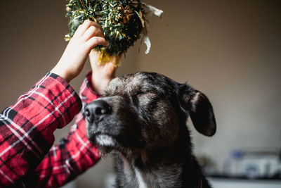 Child arms putting christmas decoration on the dog head sitting with closed eyes