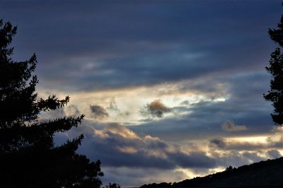 Low angle view of silhouette trees against sky at sunset