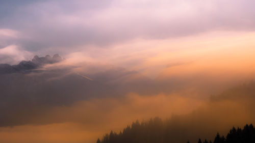 Low angle view of silhouette trees against sky during sunset