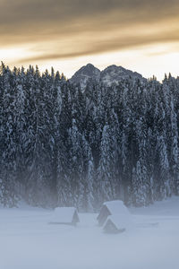 Scenic view of snow covered field against sky