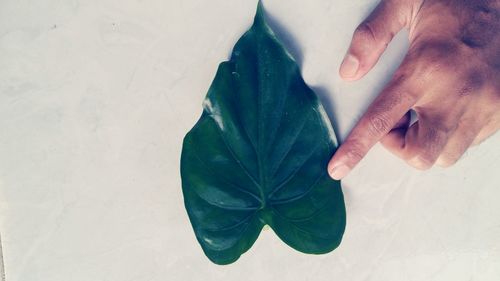 Close-up of man hand