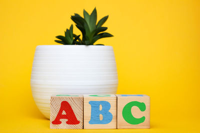 Potted plant against yellow background