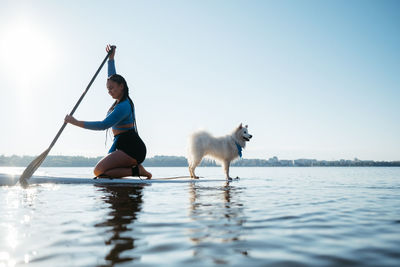 Woman paddleboarding on the city lake at early morning with her dog japanese spitz sitting on sup	