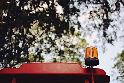 Low angle view of red car against trees