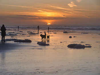 Silhouette people on beach against sky during sunset