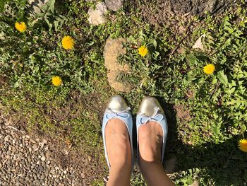 Low section of woman standing on plants