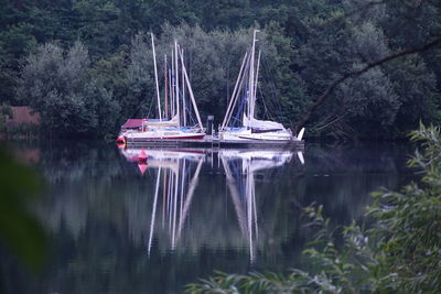 Sailboat in lake against trees in forest
