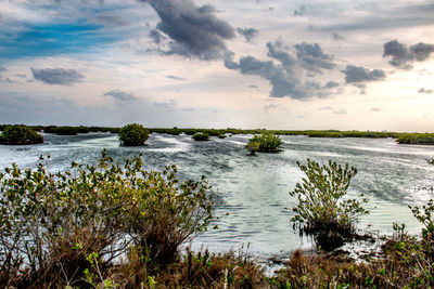 Scenic view of river against sky