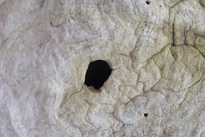 Close-up of hole