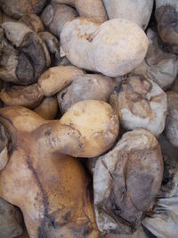 Full frame shot of bread for sale at market