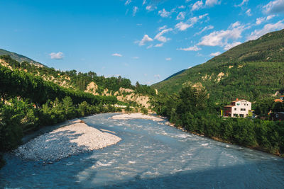 Road amidst trees and buildings against sky