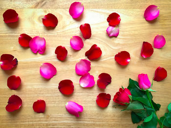 High angle view of roses on table