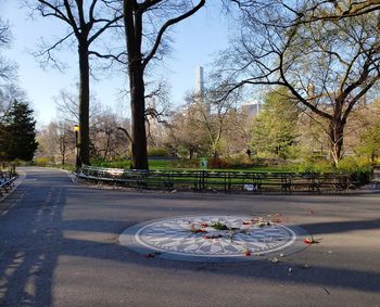 Empty road by trees in city