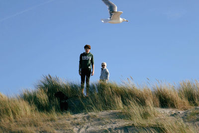 Boys looking at seagull flying over land against blue sky