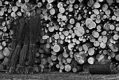 Stack of logs