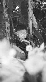 Portrait of cute boy looking at plants