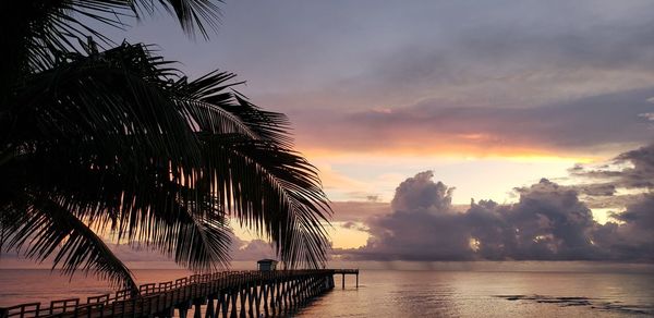 Silhouette palm trees by swimming pool against sky during sunset