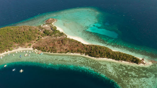 Aerial view sandy beach on tropical island with palm trees and clear blue water. malcapuya