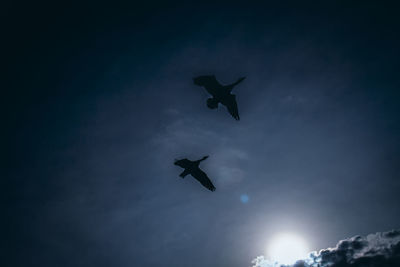 Low angle view of silhouette airplane flying in sky