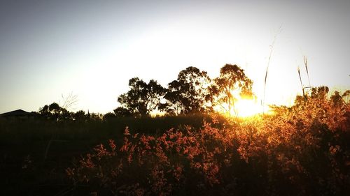 Scenic view of landscape against sky at sunset