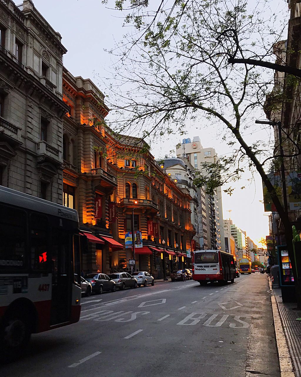 CITY STREET AMIDST BUILDINGS