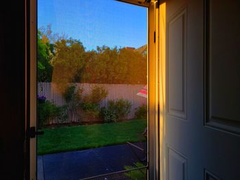 Trees seen through window of house