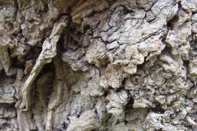 Full frame shot of stone wall