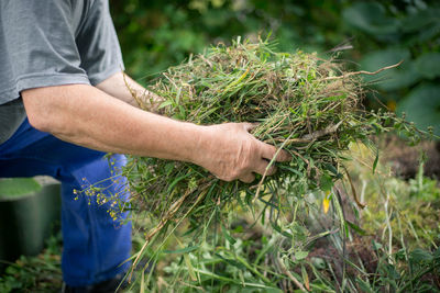 Midsection of man holding plant in field