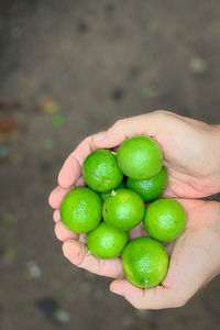 Close-up of hand holding fruit