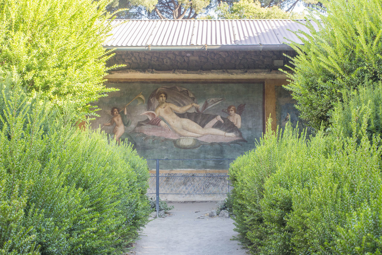 STATUE AMIDST PLANTS