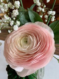 Close-up of rose bouquet