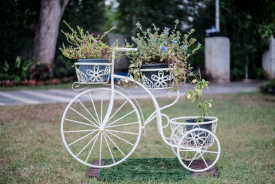 Bicycle in park