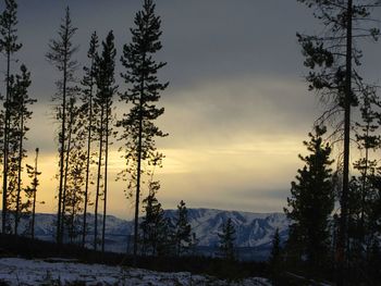 Scenic view of landscape against sky during winter