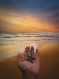 Close-up of person hand holding sea at sunset