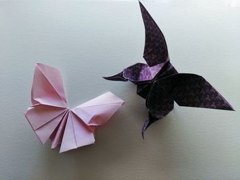 Close-up of bird on paper