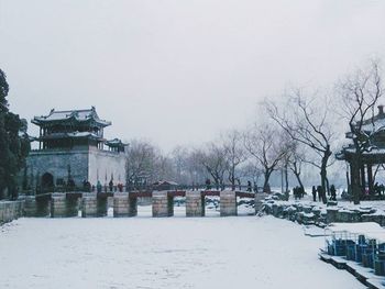 Bare trees on snow covered landscape