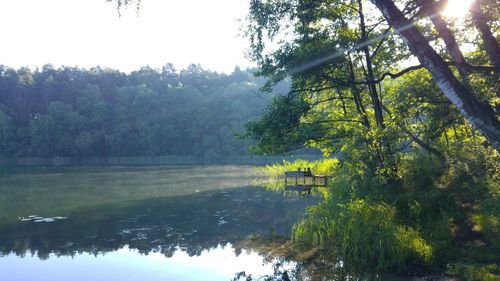Scenic view of lake in forest against sky