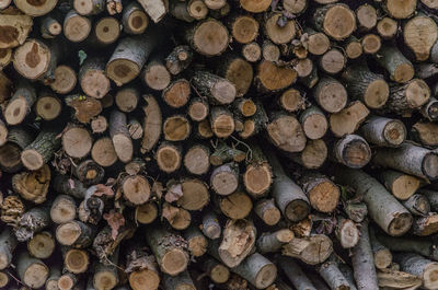 Full frame shot of logs in forest