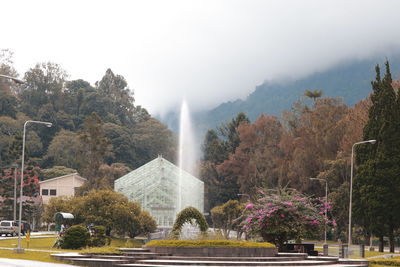 Cibodas botanical garden