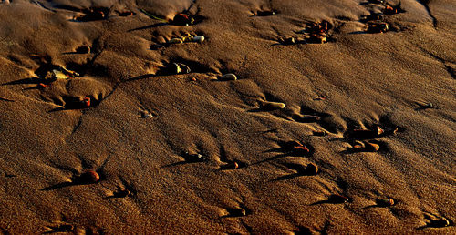 High angle view of footprints on sand at beach