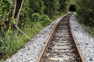 Diminishing perspective of railroad track in forest