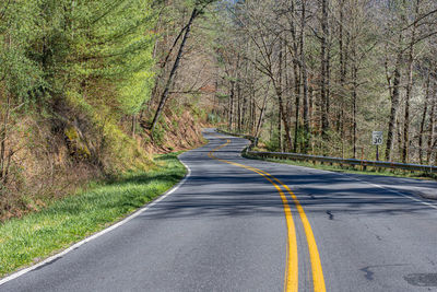 Empty road amidst trees in forest