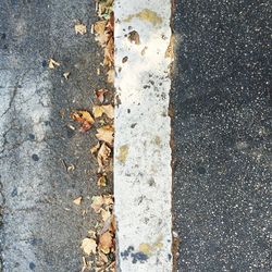 Close-up of autumn leaves on road