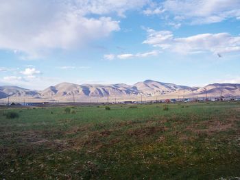 Scenic view of field against sky