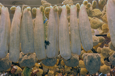 Pumpkins fiber and sponge in spice market eminonu istanbul