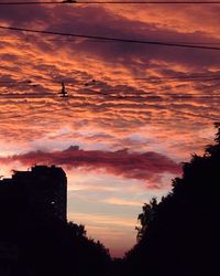 Silhouette of trees at sunset