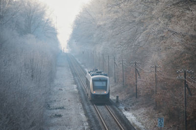 Railroad tracks amidst trees during winter